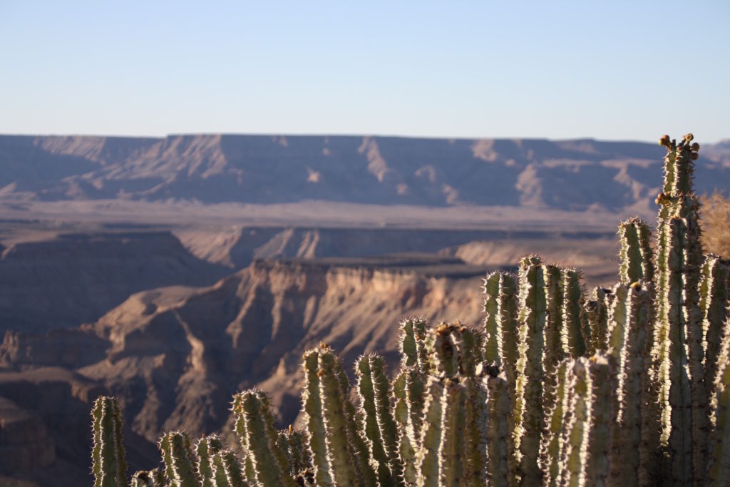 Fish River canyon