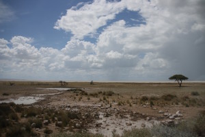 PN Etosha