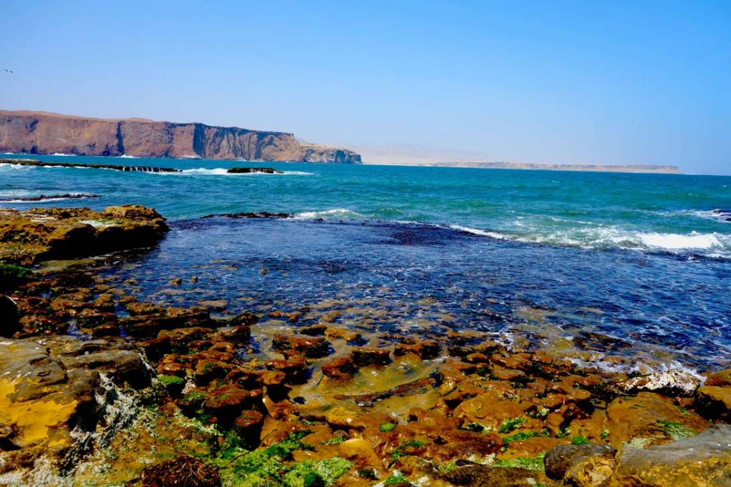 Parque-Nacional-de-Paracas_Peru