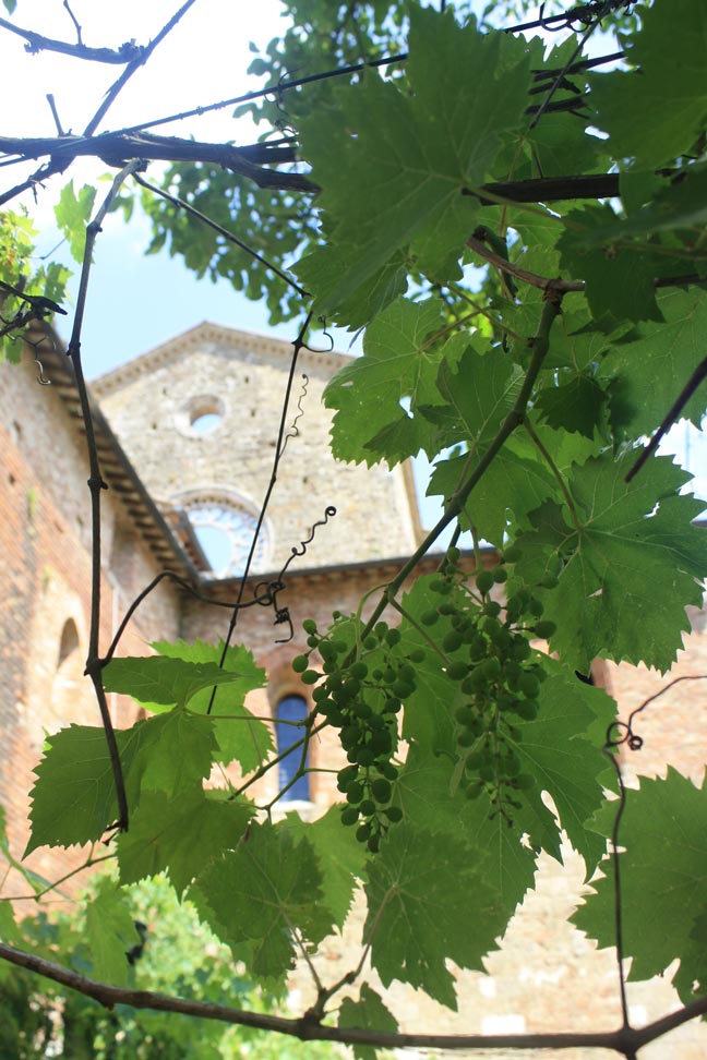 abbazia-san-galgano2-Viajar-por-libre-toscana